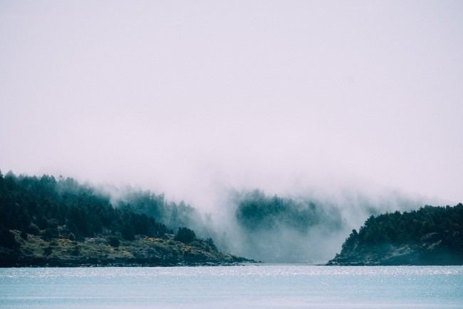 大雾森林湖泊图片