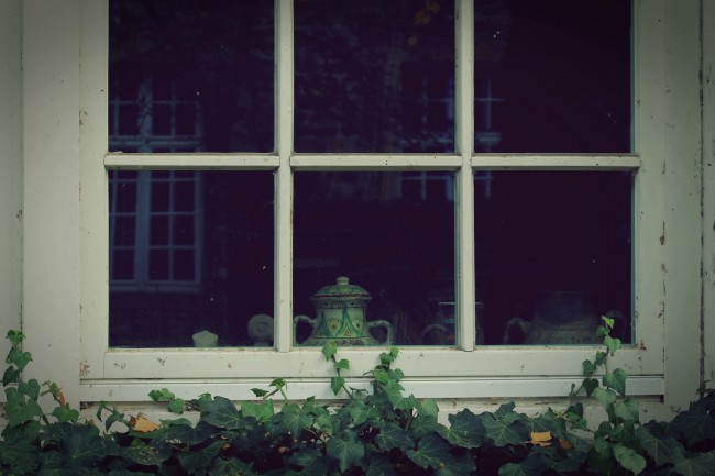 窗台绿植图片
