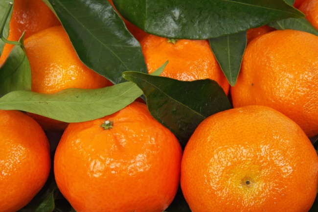 橘子高清特写图片