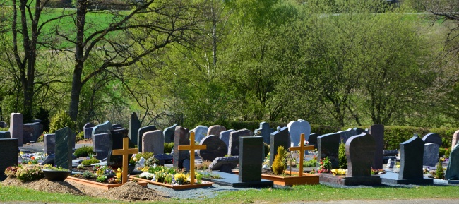墓地陵园图片