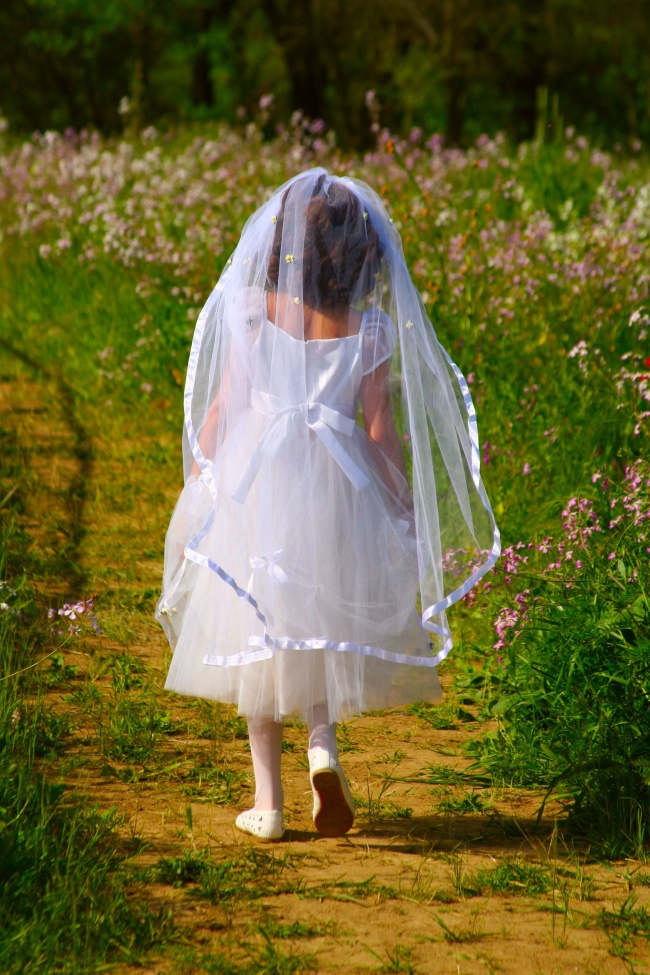 小新娘婚纱背影图片