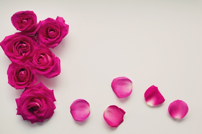 玫瑰花花框背景图片