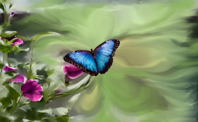 蓝色蝴蝶唯美意境图片