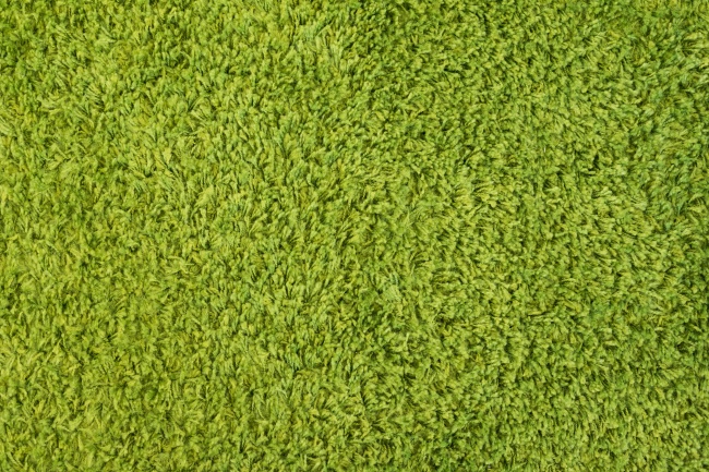 绿色草坪地毯图片