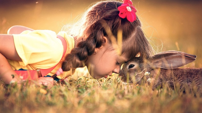 小女孩和兔子图片