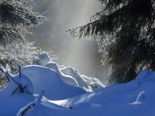 ‘~美丽冬日雪景图片  ~’ 的图片