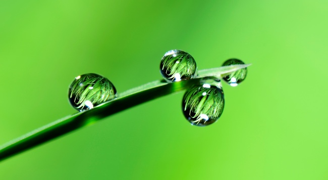 绿色雨滴背景图片
