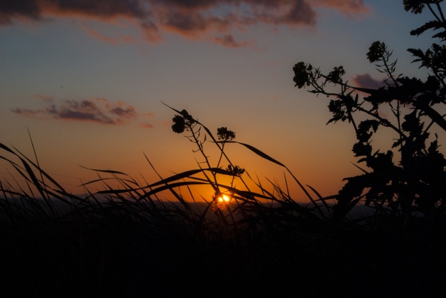 普拉托日落景观图片