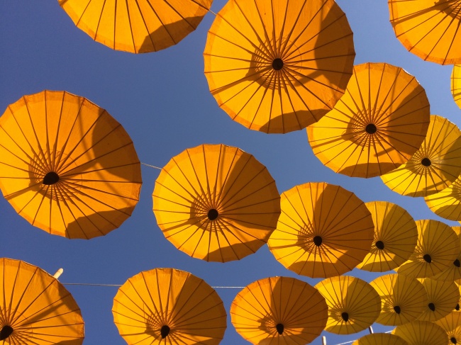 橙色雨伞天幕图片