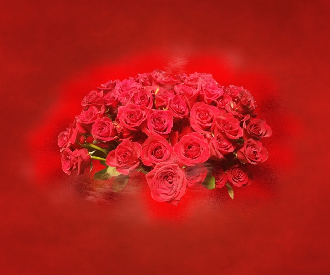 情人节红玫瑰花束图片