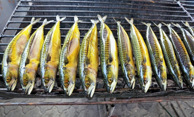 三文鱼烧烤图片