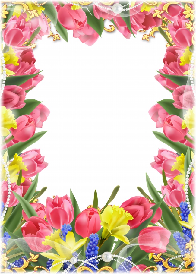 郁金香鲜花相框图片