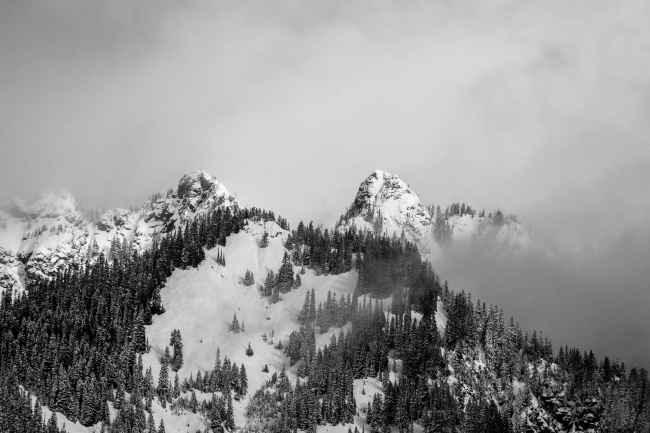冬天高地雪山树木图片
