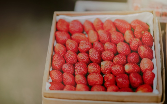 新鲜草莓真实图片