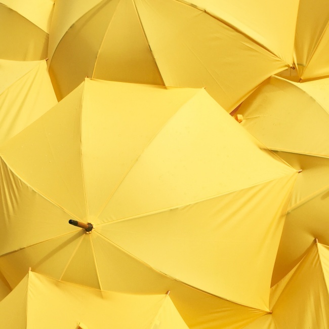 天堂雨伞黄色图片