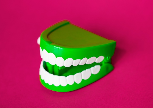 绿色牙齿模型图片