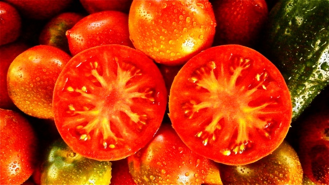 ‘~新鲜西红柿高清图片  ~’ 的图片