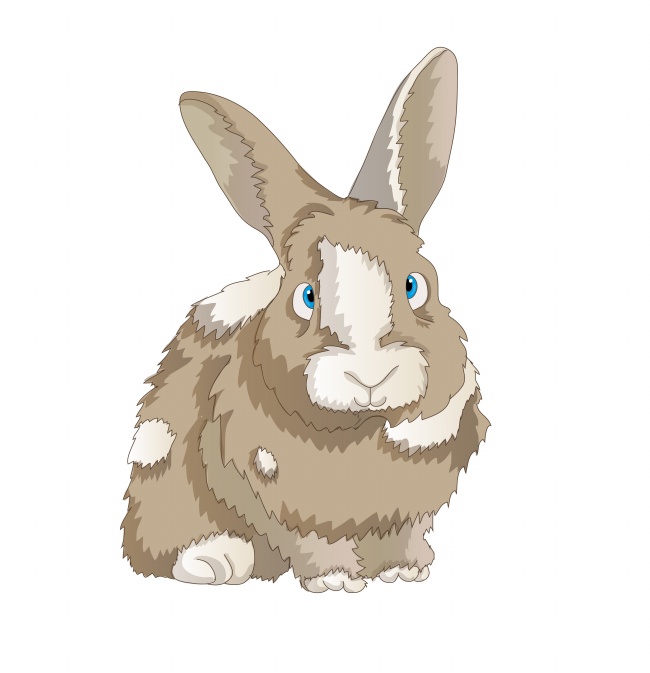 小兔子卡通图片