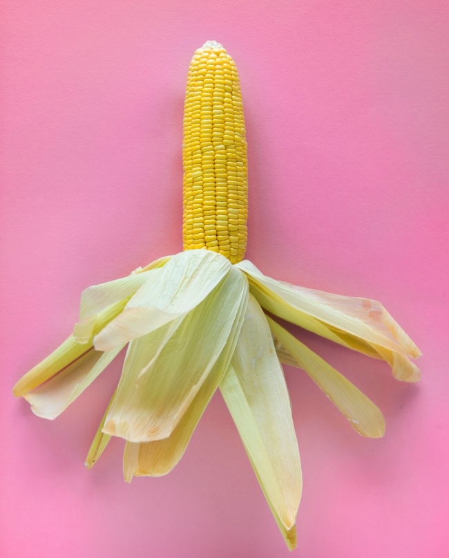 玉米棒单个图片