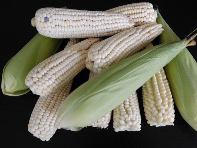 新鲜白玉米图片