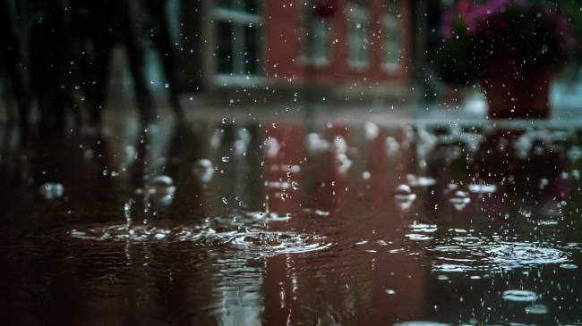 ‘~下雨天的雨滴图片  ~’ 的图片