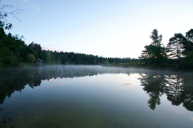 清晨绿色湖泊图片