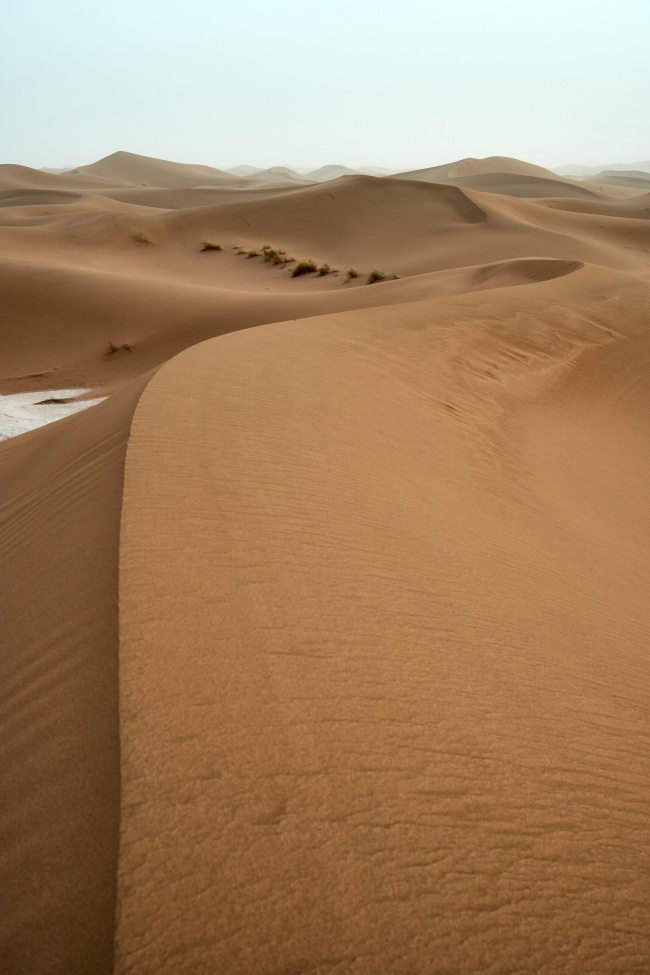 黄色沙漠沙丘图片