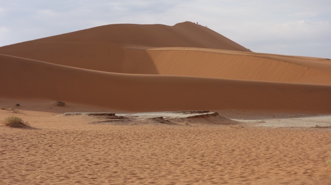 ‘~沙漠沙丘荒芜图片  ~’ 的图片