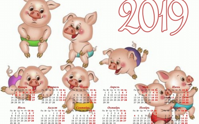 2019猪年拜年日历图片