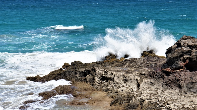 海洋海岸大浪击石图片