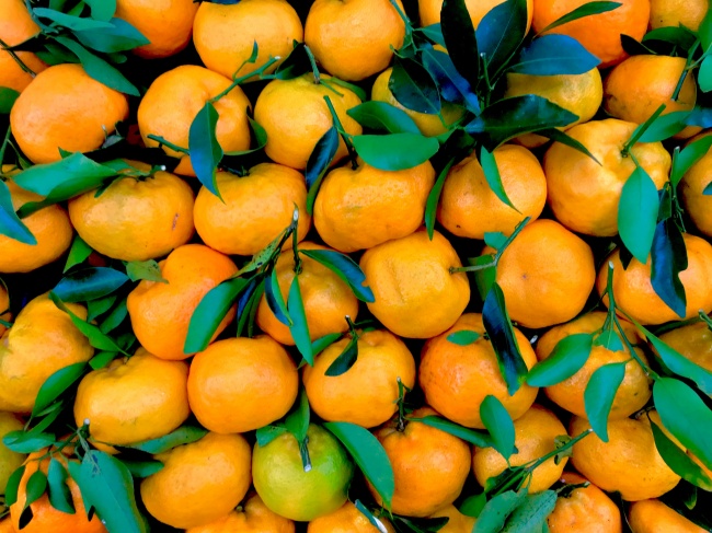 新鲜的柑橘图片图片