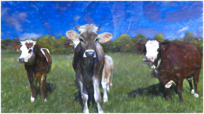 奶牛绘画图片