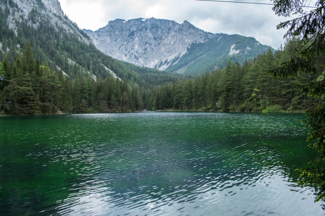 绿色湖泊风景图片