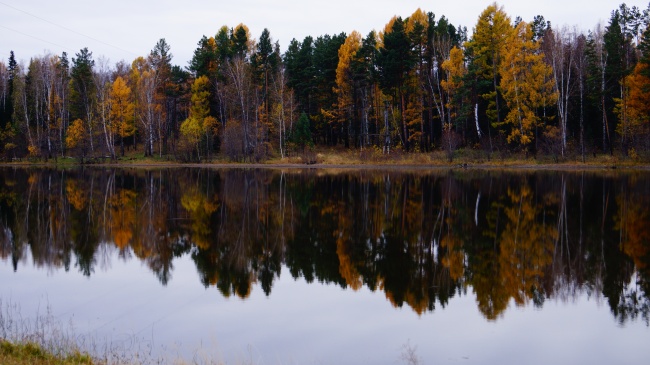 秋季湖泊树木风景图片