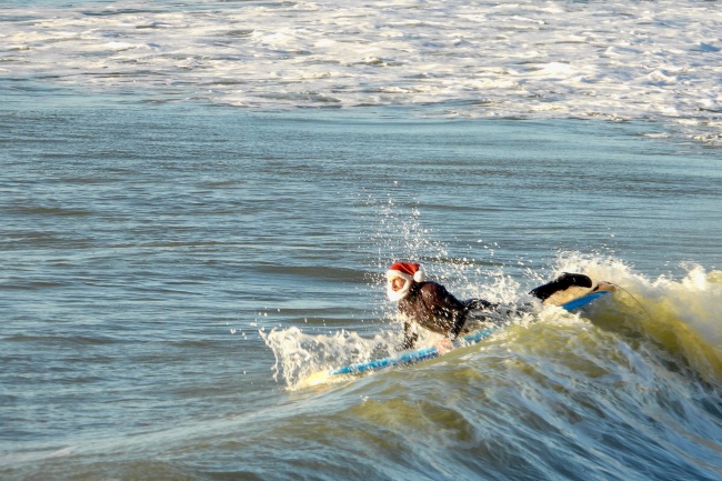 大海滑板冲浪图片