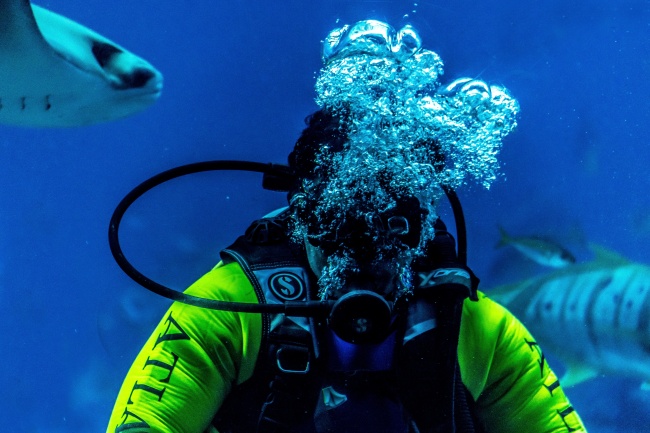 深海潜水水下运动图片