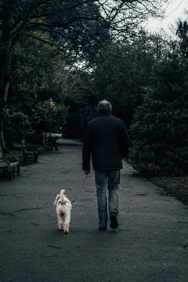 老人遛狗散步背影图片