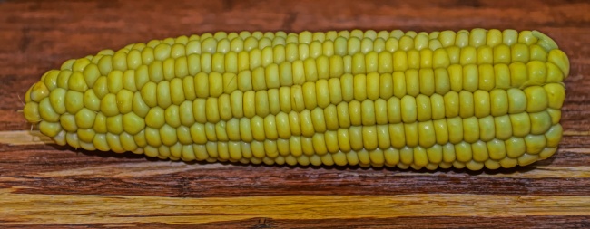 黄色熟玉米棒图片