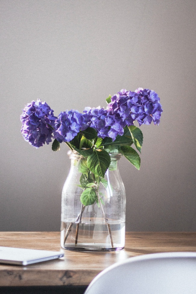 紫色花朵水培插花图片