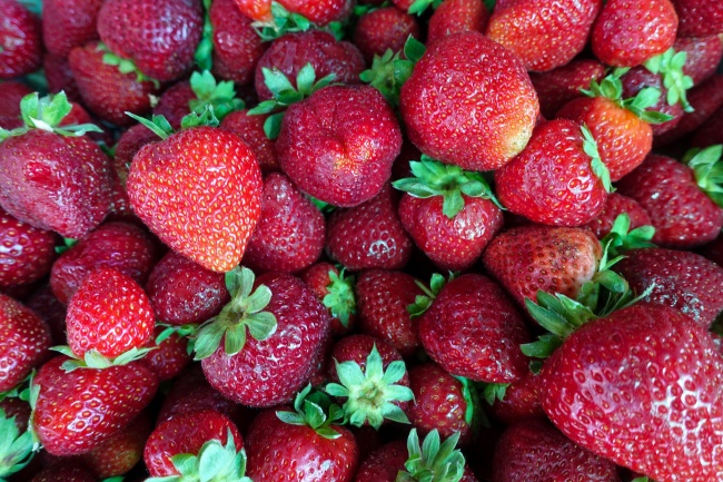 草莓水果大丰收图片