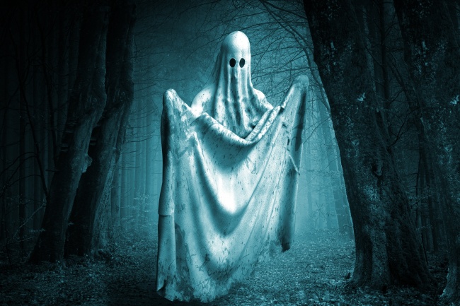 幽灵真实吓人图片