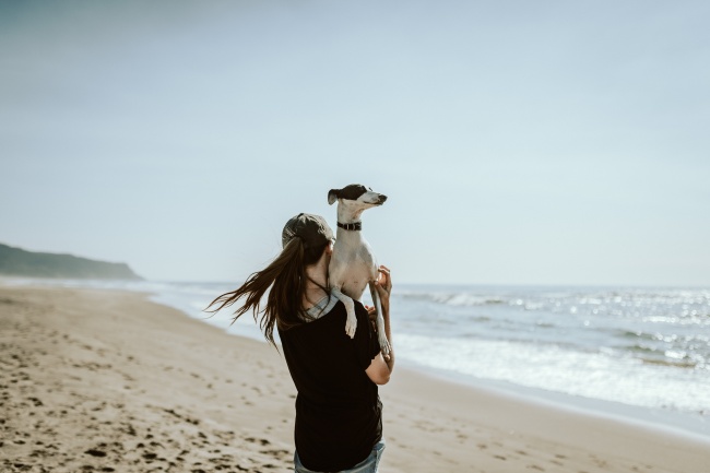 ‘~海边美丽的小姐姐和狗图片  ~’ 的图片