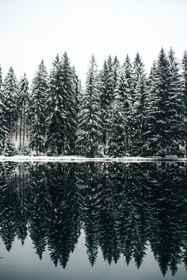 冬季树林湖泊倒影图片
