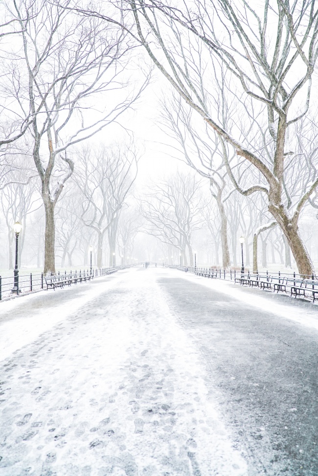 白雪皑皑的街道美景图片