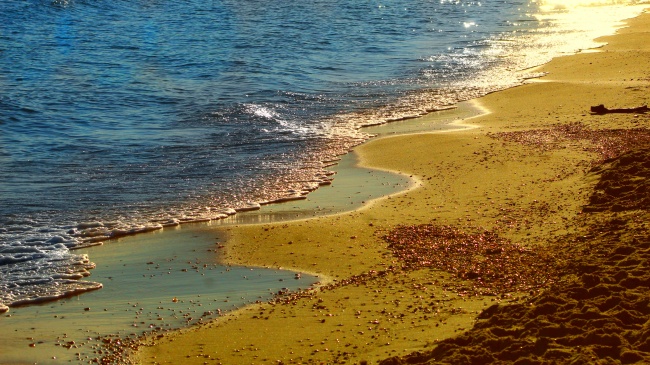 黄昏下海洋沙滩图片