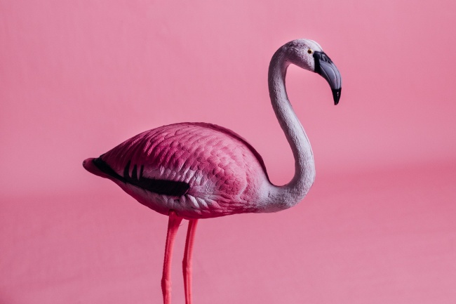 粉红色火烈鸟雕塑图片