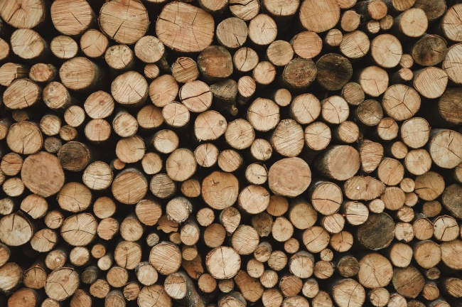 森林砍伐木材堆图片