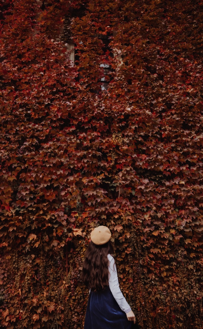 秋季爬山虎美女风景图片