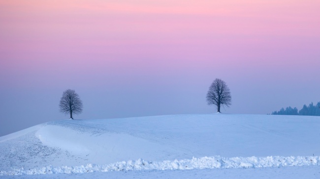 冬季紫色黄昏浪漫风景图片