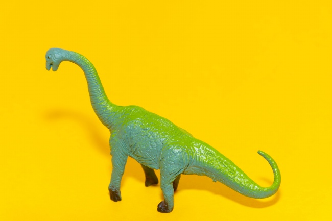 小恐龙玩具图片